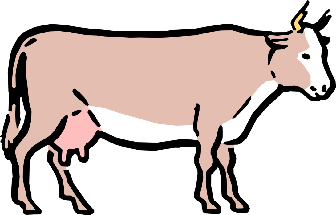 Vector Illustration of Cartoon Farm Agriculture Livestock Animal Dairy Cow