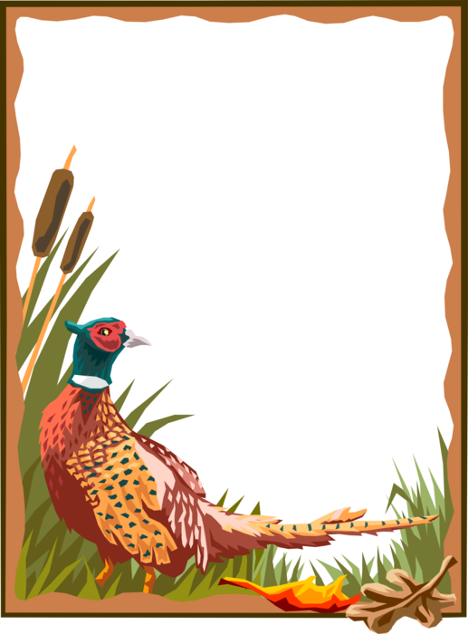 Vector Illustration of Pheasant Bird in Bulrushes Frame Border