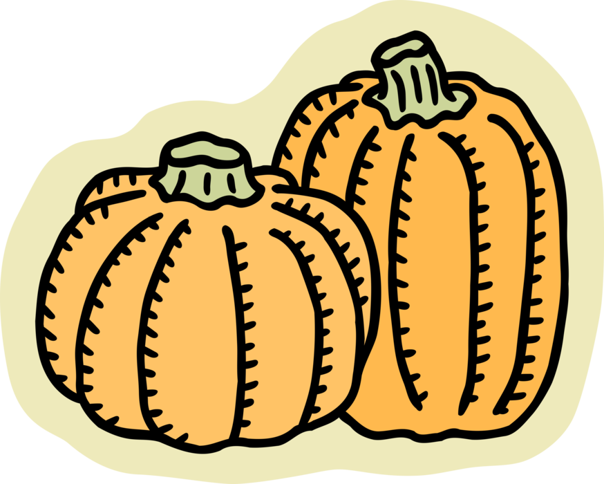 Vector Illustration of Winter Squash Pumpkins are Traditional Staple of Canadian and American Thanksgiving