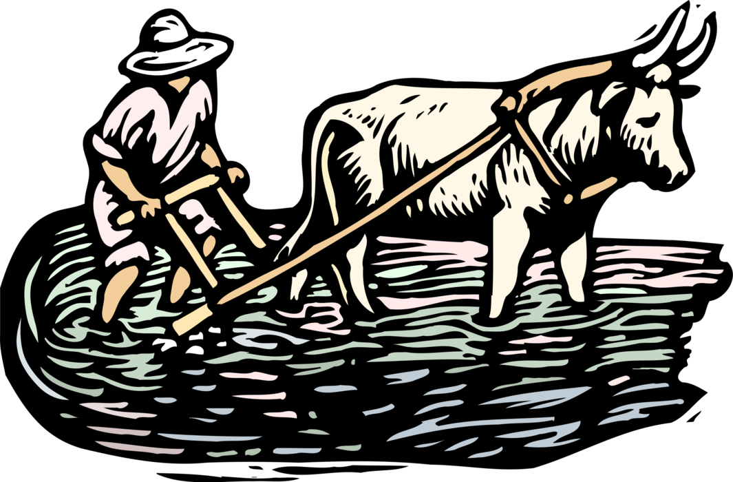 Vector Illustration of Farmer Working with Ox to Plow or Plough the Field