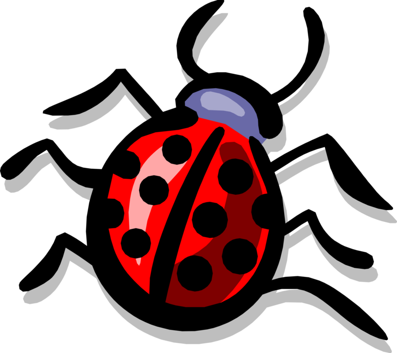 Vector Illustration of Small Coccinellidae Beetle Red Ladybug Insect