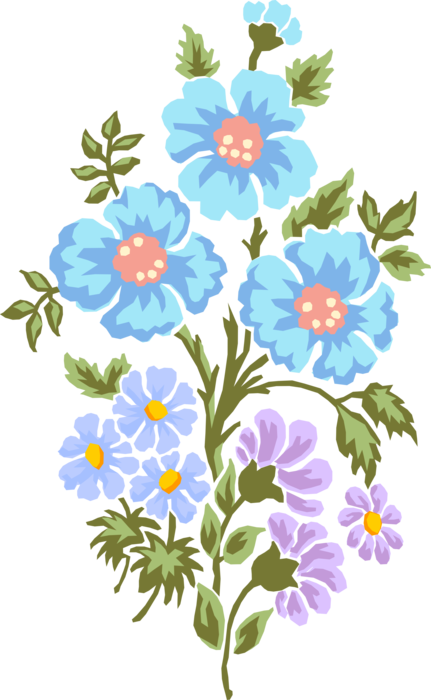 Vector Illustration of Corn Flowers in Summer Garden