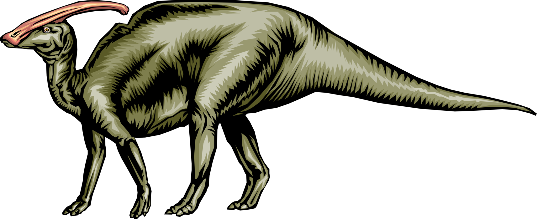 Vector Illustration of Prehistoric Duck Billed Dinosaur from Jurassic and Cretaceous Periods