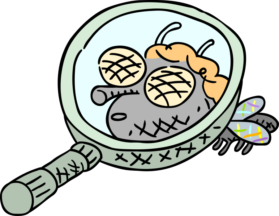 Vector Illustration of Bug-Eyed Insect Under Magnifying Glass