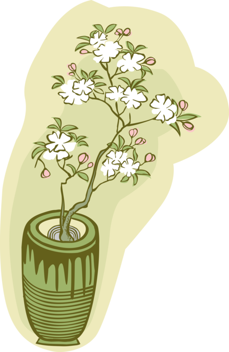 Vector Illustration of White Flowers in Bloom in Flower Pot