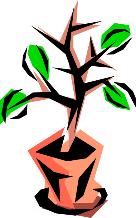 Vector Illustration of Indoor Potted Plant Sprouting Leaves