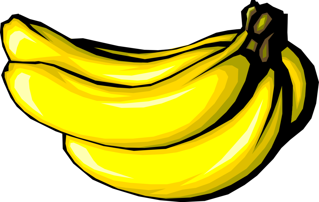 Vector Illustration of Soft, Sweet, Dessert Banana Edible Fruit 