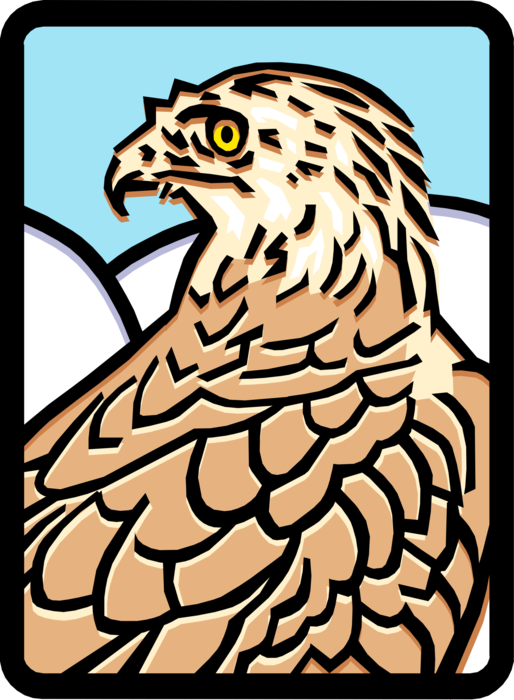 Vector Illustration of Bird of Prey Eagle
