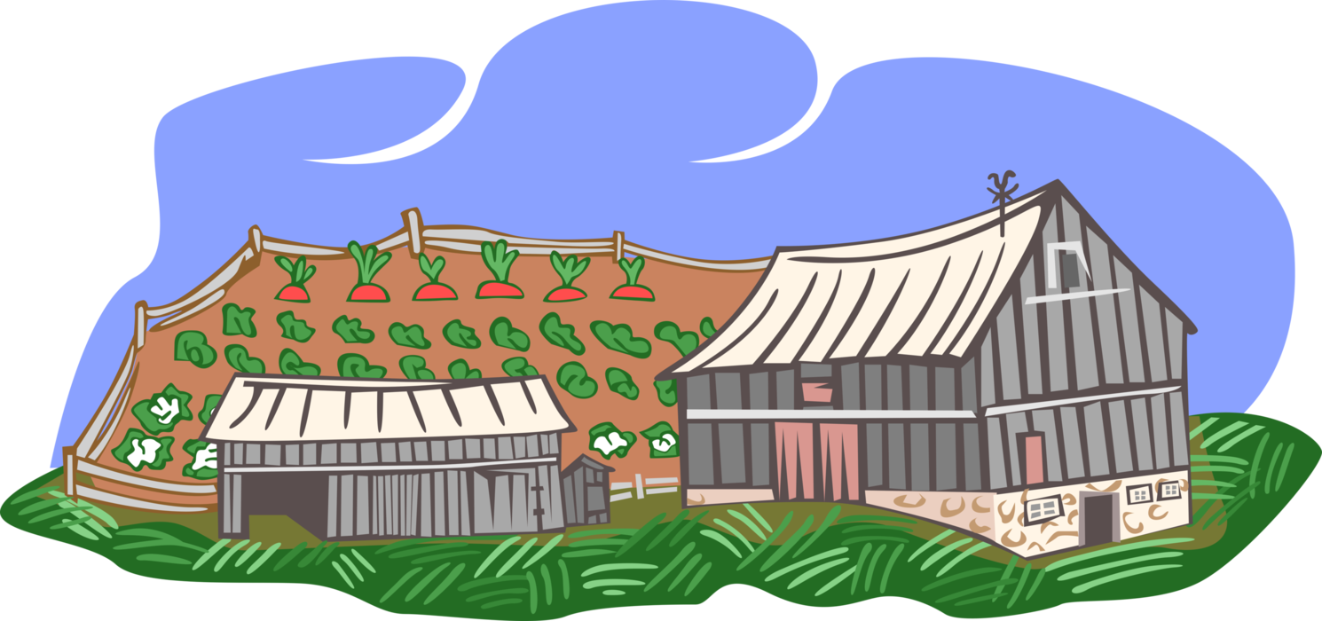 Vector Illustration of Farm Scene with Barn, Sheds and Crops in the Field