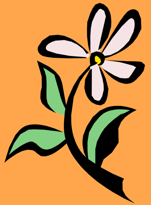 Vector Illustration of Garden Daisy Flower on Orange