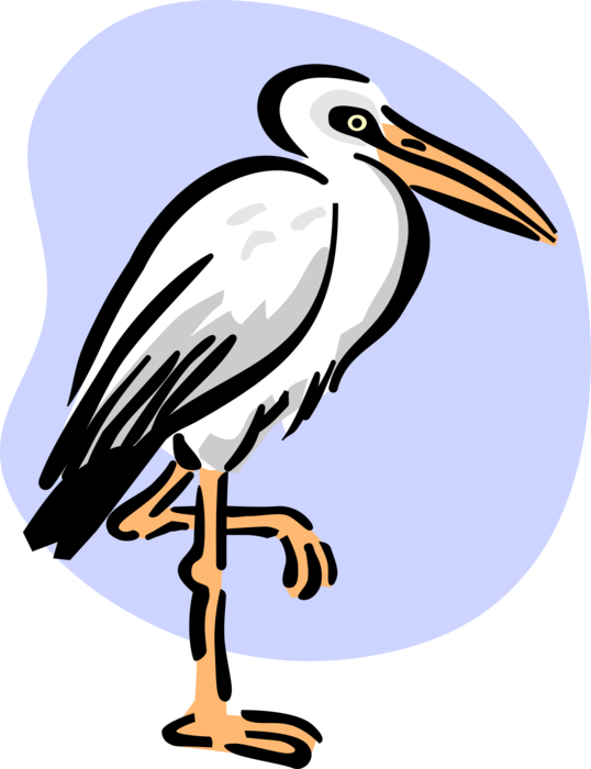 Vector Illustration of Long-Legged Wading Bird Stork Standing on One Leg