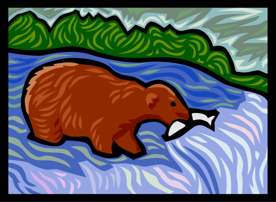 Vector Illustration of Grizzly Bear Catching Salmon Fish in Stream