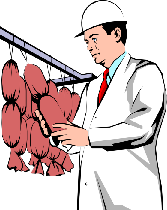 Vector Illustration of Food Inspector Checks Fresh Salami