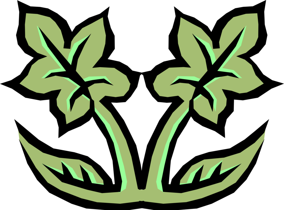 Vector Illustration of Botanical Floral Leaf Design