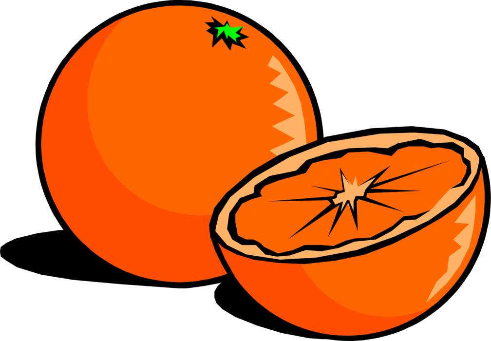 Vector Illustration of Sweet Orange Edible Citrus Fruit