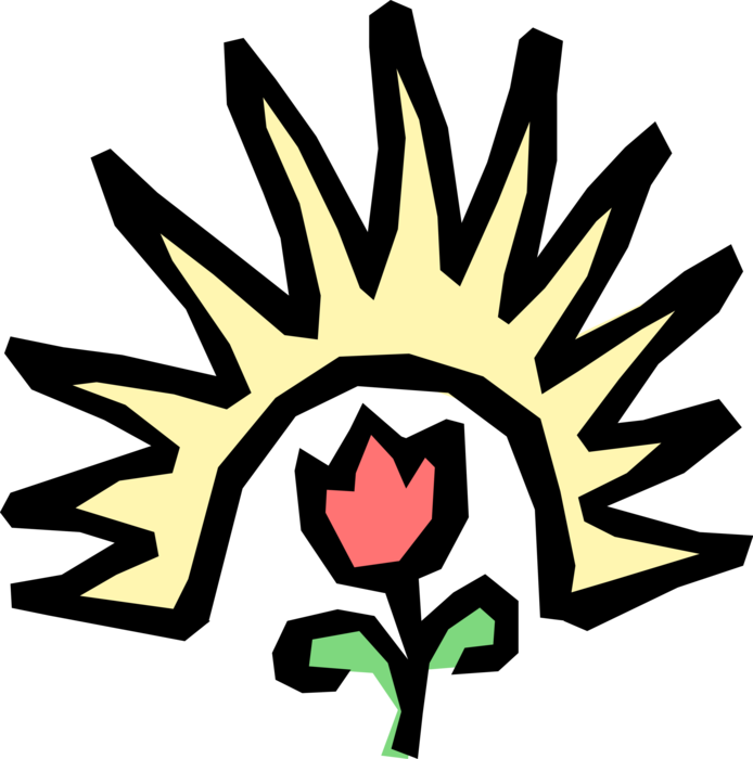 Vector Illustration of Sunshine with Spring Tulip Bulbous Plant