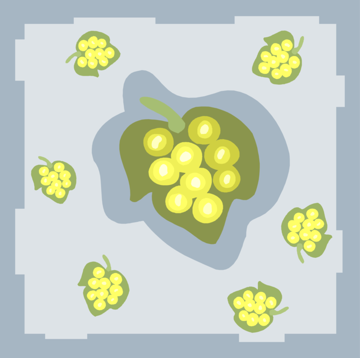 Vector Illustration of White Table Grapes Fruit on Grape Leaves