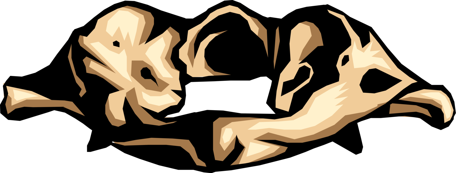 Vector Illustration of Human Spine Vertebrae Bone