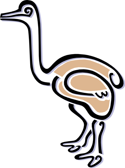Vector Illustration of Flightless African Ostrich Bird