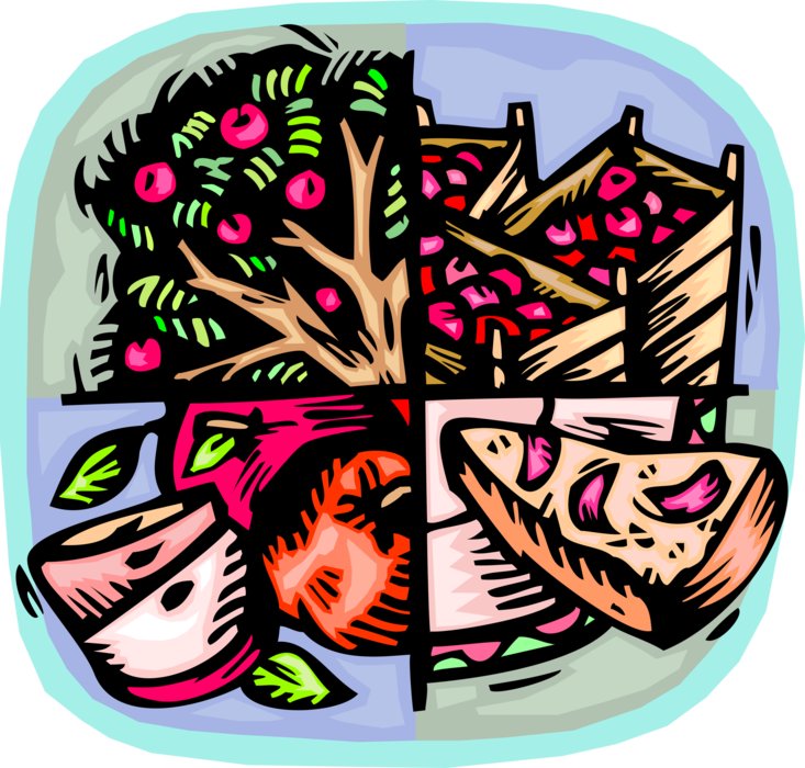 Vector Illustration of Fruit Growing Industry Apple Orchard with Harvested Apples and Pie