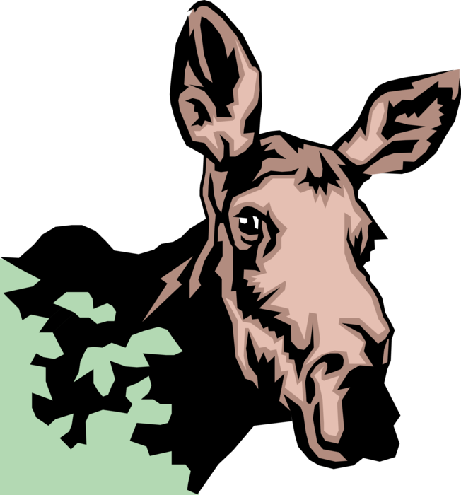 Vector Illustration of Large, Long-Headed Mammal Female Moose