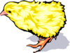 1infu0j931 anim0055