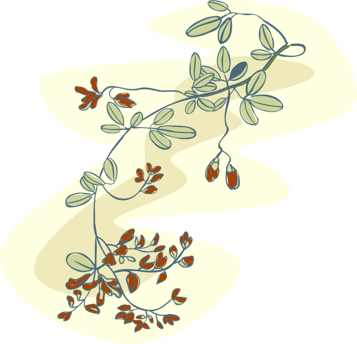 Vector Illustration of Deciduous Flowering Tree Branch Leaves and Flowers