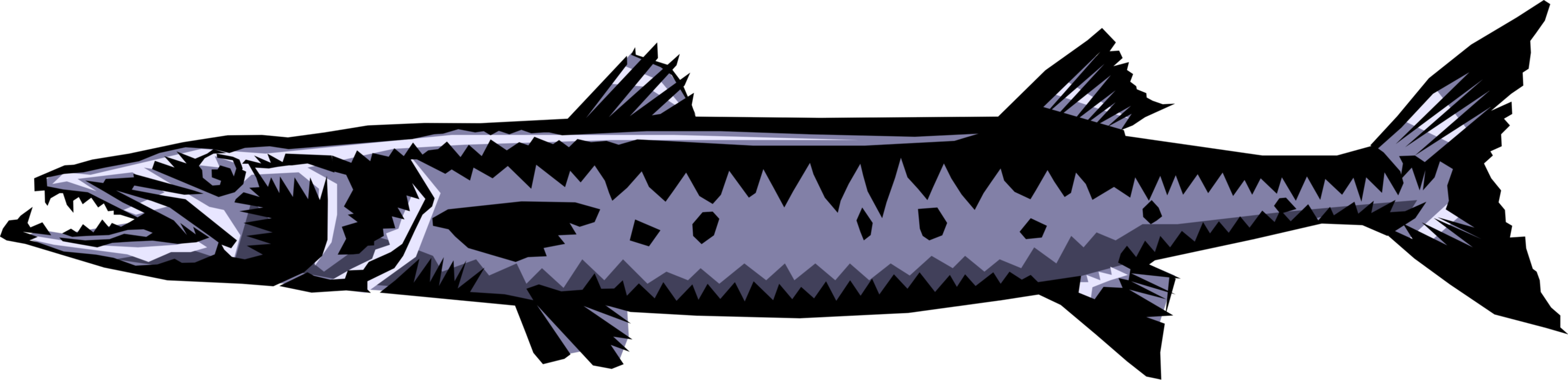 Vector Illustration of Fearsome Ray-Finned Barracuda Fish