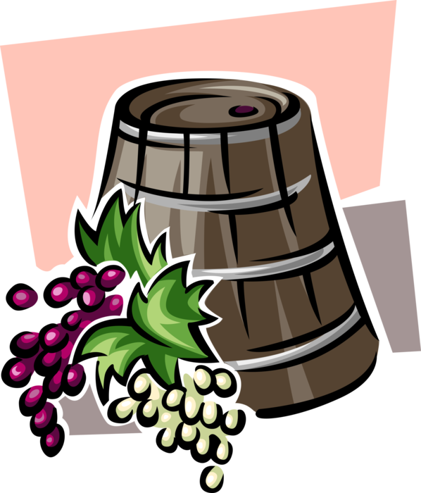 Vector Illustration of Winery Wine Barrel Cask or Tun with Wine Grapes