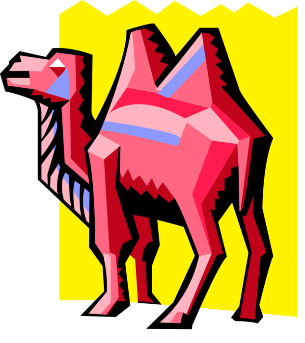 Vector Illustration of Dromedary African Beast of Burden Camel