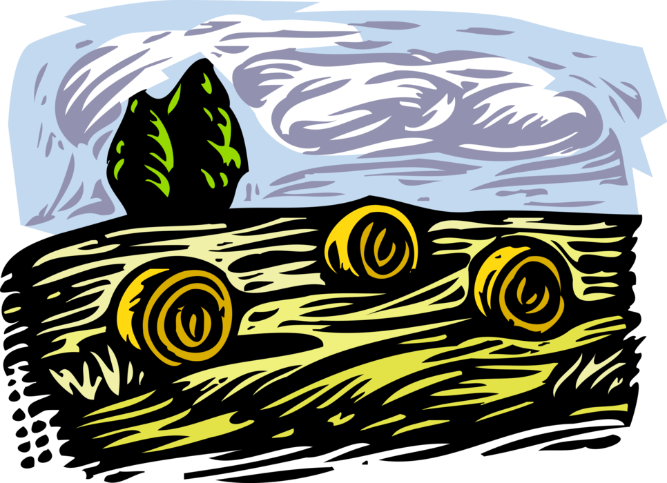 Vector Illustration of Farm Haystack Harvested Alfalfa Hay Crop Bales