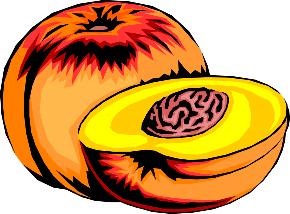 Vector Illustration of Sliced Edible Fruit Peach or Nectarine