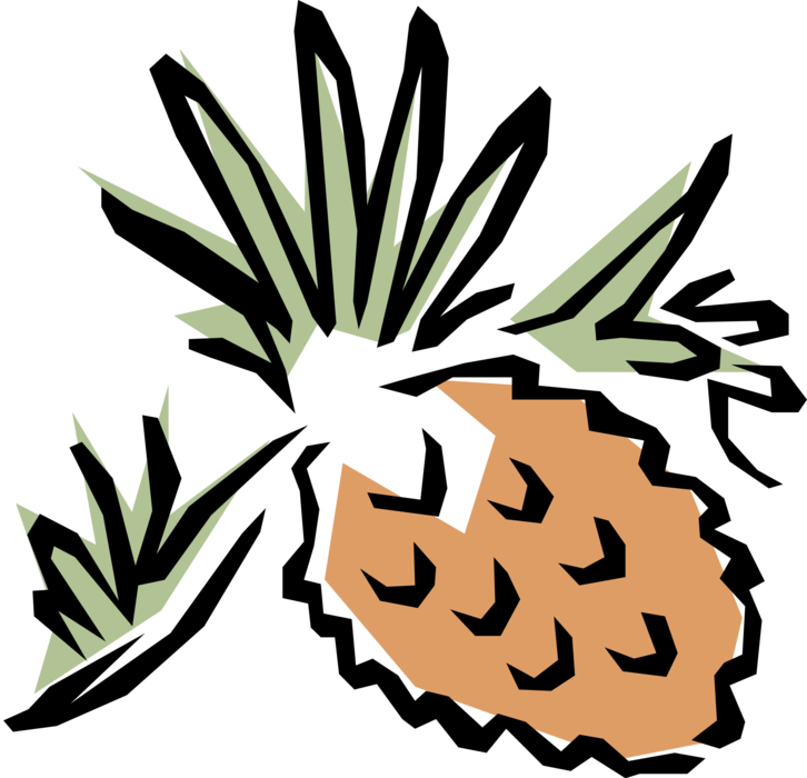 Vector Illustration of Coniferous Evergreen Fir Tree Conifer Pine Cone