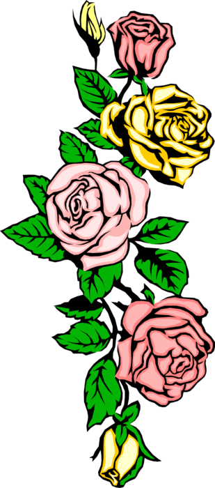Vector Illustration of Decorative Rose Flowers