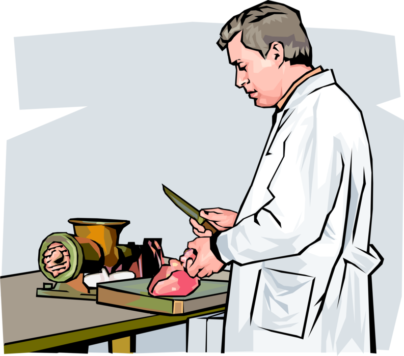 Vector Illustration of Butcher in Retail or Wholesale Meat Shop Butchery Carves Fresh Meat Cuts for Sale to Customers