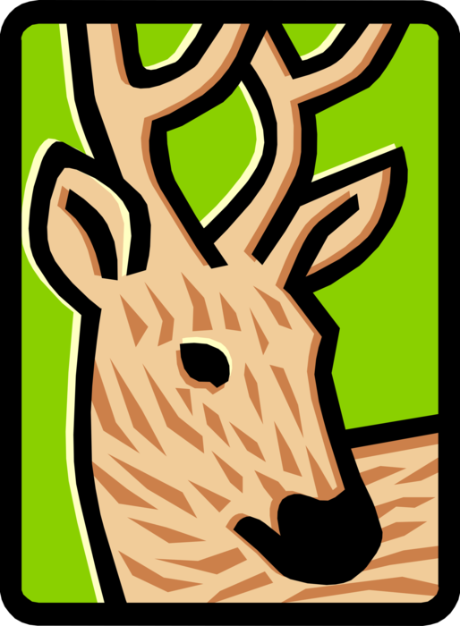 Vector Illustration of Ruminant Mammal Deer Head with Antlers