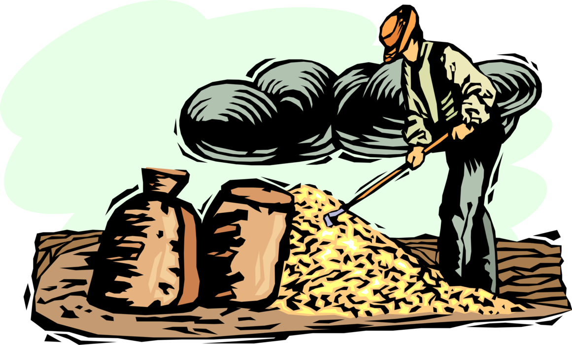 Vector Illustration of Farmer Separating Harvested Wheat Grain from Chaff on Farm