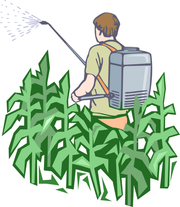 Vector Illustration of Farmer Applies Insecticide to Corn Crop