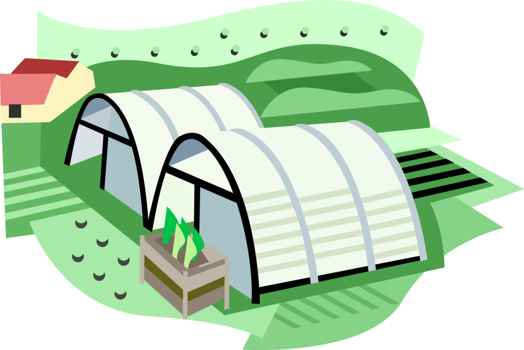 Vector Illustration of Greenhouses at Plant Nursery Where Plants are Propagated and Grown