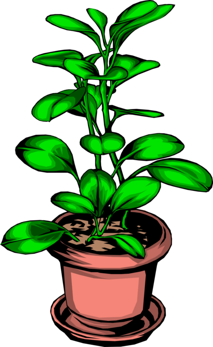 Vector Illustration of Potted Plant