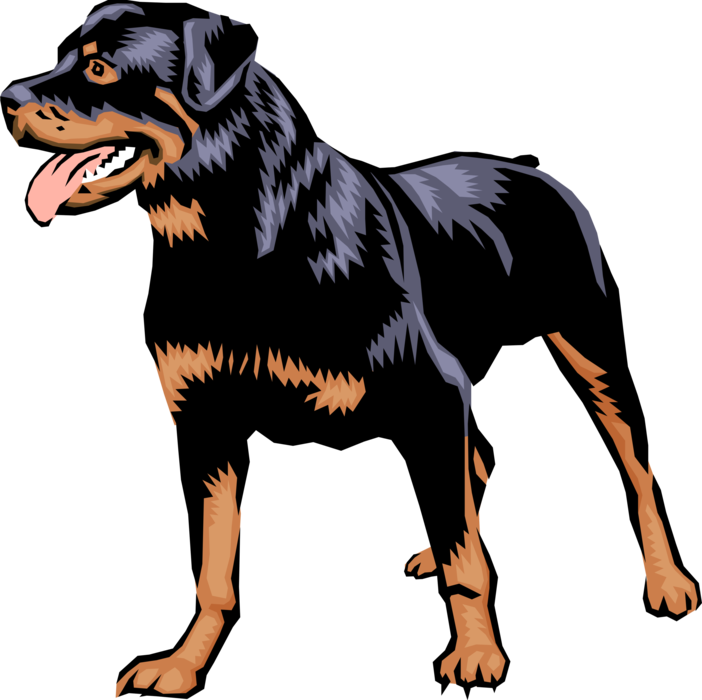 Vector Illustration of Family Pet Rottweiler Guard Dog