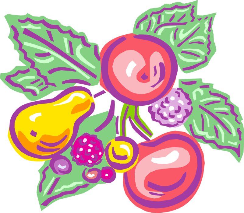 Vector Illustration of Apples, Pears and Fruit with Leaves