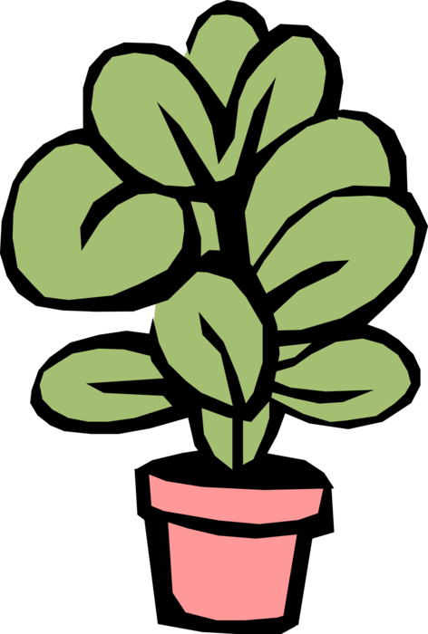 Vector Illustration of Indoor Potted Botanical Plant