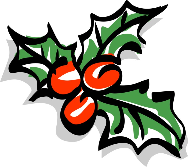 Vector Illustration of Festive Season Christmas Holly Traditional Decoration