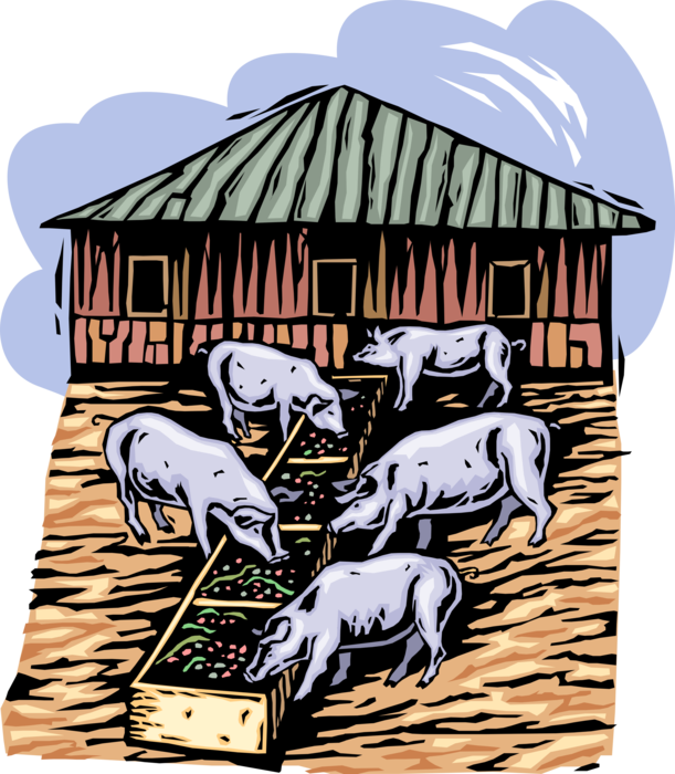 Vector Illustration of Pork Industry Swine Pigs in Pigsty or Pigpen Eat Slop at Farm Trough
