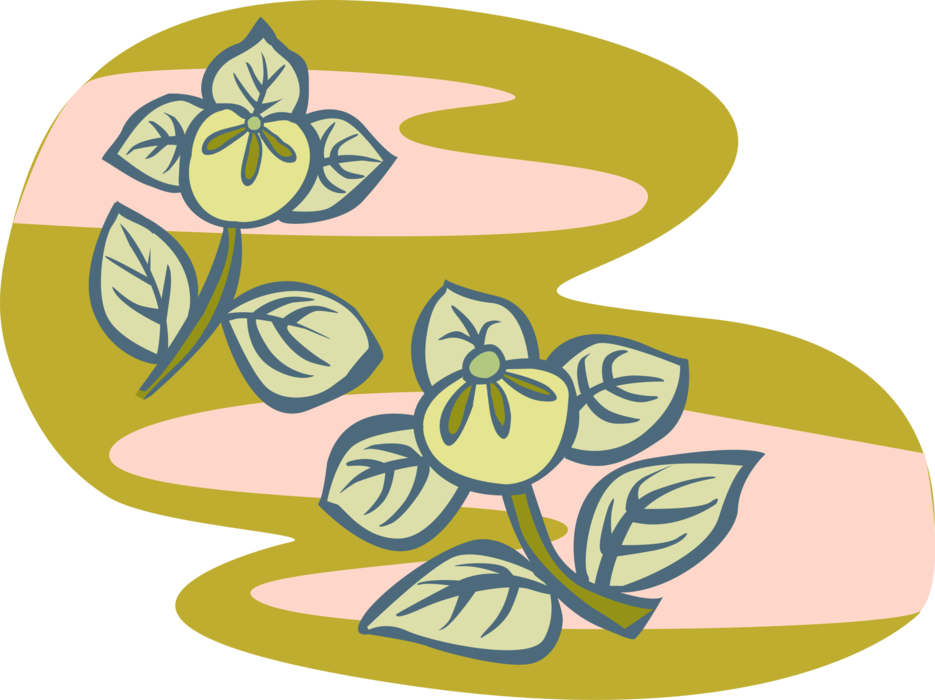 Vector Illustration of Horticulture and Gardening Flowers with Leaves and Stems