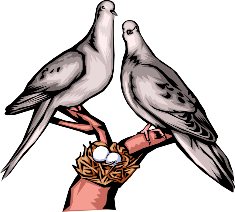 Vector Illustration of Two Doves Guard Nest with Eggs