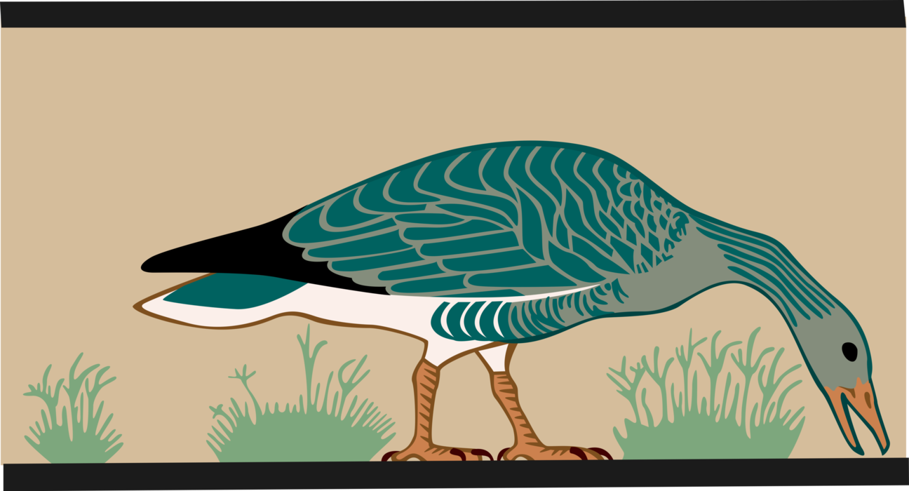 Vector Illustration of Feathered Waterfowl Goose