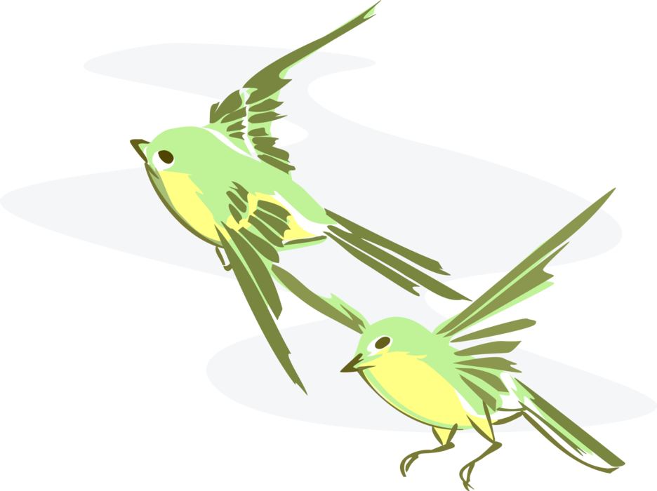 Vector Illustration of Two Feathered Birds