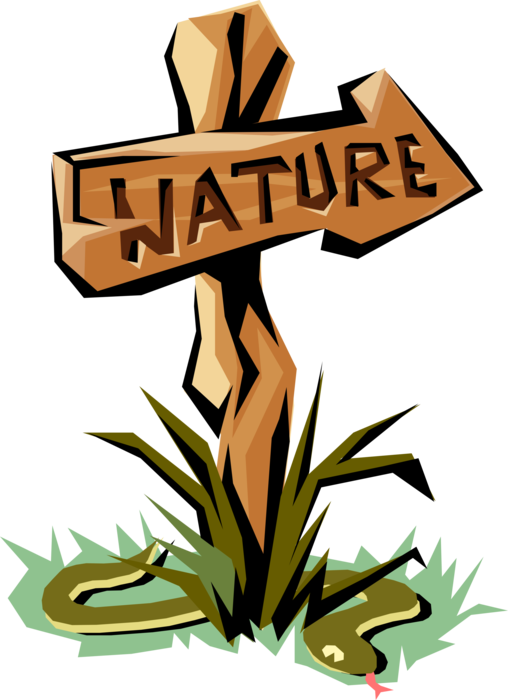 Vector Illustration of Nature Trail Sign with Reptile Snake